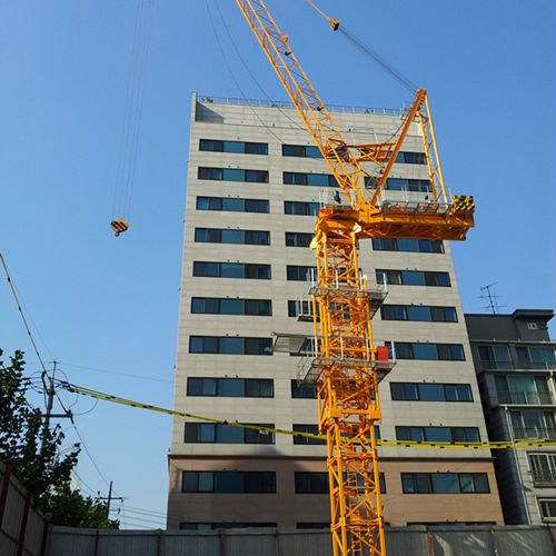 Slewing Tower Crane from China